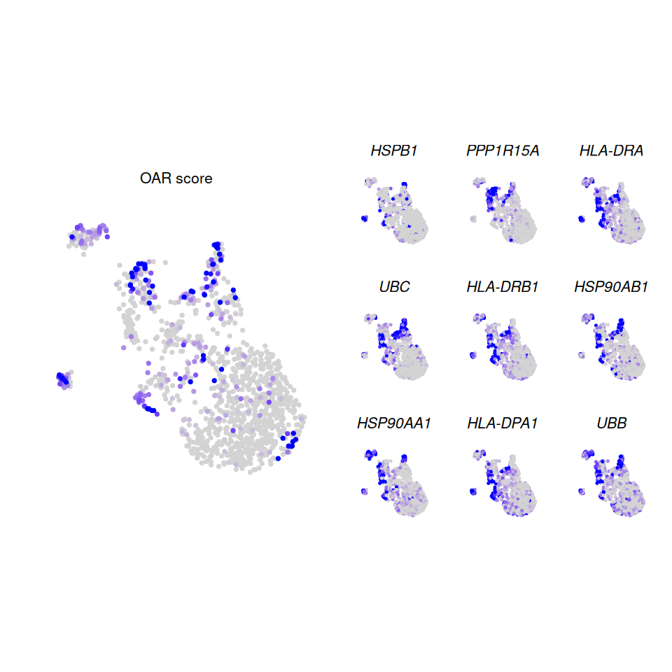Genes associated with OAR score